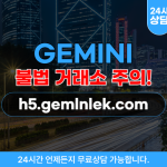 GEMINI 투자 사기 사이트 h5.gemlnlek.com