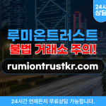 루미온트러스트 투자사기 가짜 거래소 주의 웹 사이트 rumiontrustkr.com
